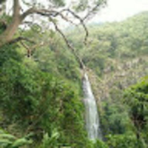 Meet your Posher, Ruth